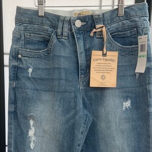 Democracy Distressed Blue Jeans